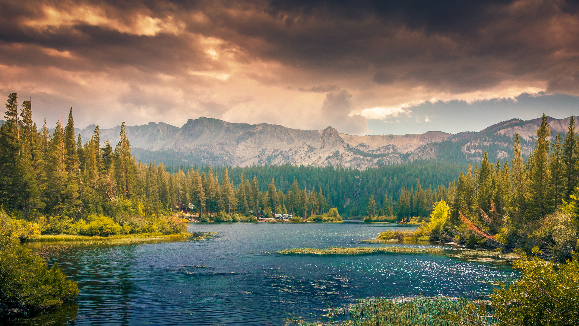 full-bg-6.jpg
